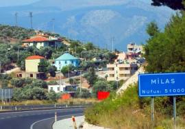 İstanbul Milas Nakliye