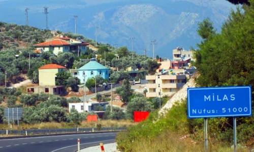 İstanbul Milas Nakliye